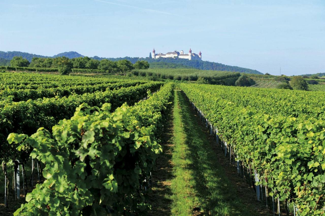 Готель Landhaus Weinblick Rohrendorf bei Krems Екстер'єр фото